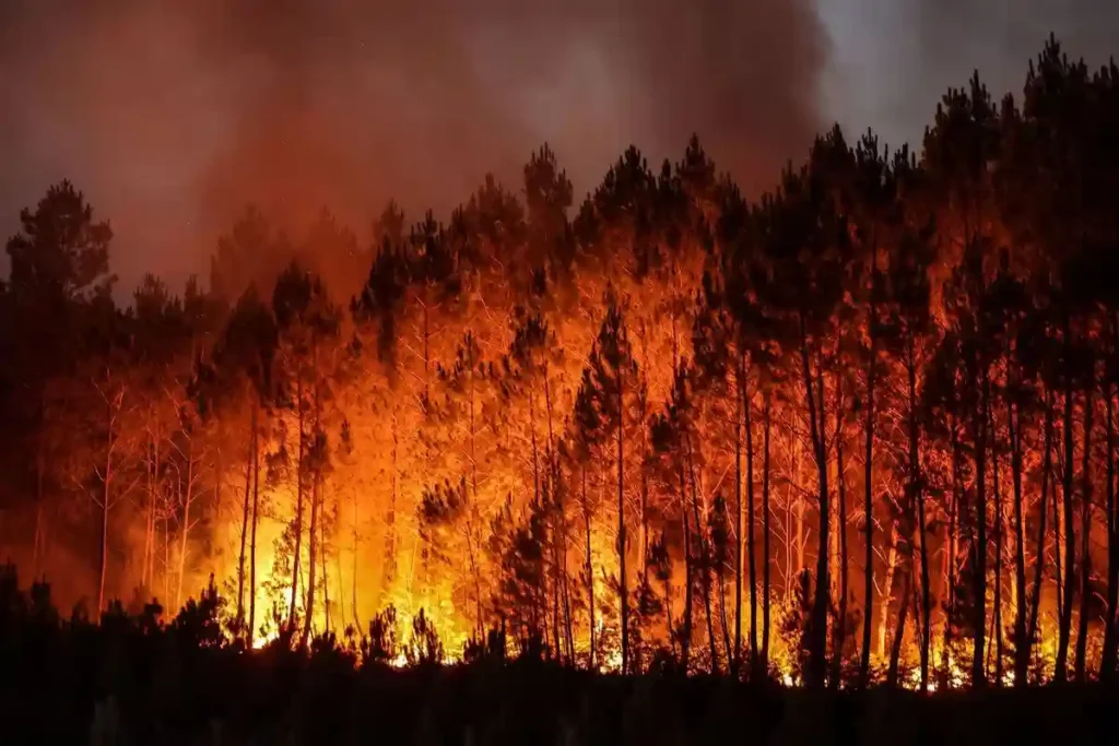 Kebakaran terjadi di hutan di Louchats